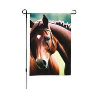 Bandiera da giardino con stampa di due cavalli, 30,5 x 45,7 cm, perfetta per San Valentino e decorazioni primaverili