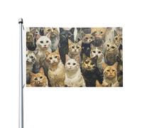 Bandiera da giardino con stampa di gatti, 9 x 1,5 m