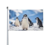 Bandiera da giardino con stampa di pinguino delle montagne delle nevi da 3 x 1,5