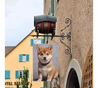 Bandiera da giardino con stampa primaverile raffigurante un simpatico cane Shiba Inu, bandiere da giardino stagionali, stampa bifacciale effetto lino per esterni, 30,5 x 45,7 cm.