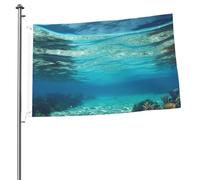 Bandiera da giardino con vista subacquea della spiaggia tropicale, 0,6 x 0,9 m, stampa su entrambi i lati, bandiera da giardino per esterni, bandiere per vacanze, banner regalo con occhielli sfondo