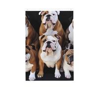 Bandiera da giardino di benvenuto Bulldogs inglese 0,6 x 0,9 m non sbiadisce su entrambi i lati bandiere da cortile per esterni decorazione per cortile portico prato