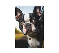 Bandiera da giardino di benvenuto con cucciolo di cane Boston Terrier, 0,9 x 0,9 m, double face, non sbiadisce, per casa, cortile, cortile, cortile, prato, decorazione esterna