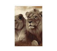 Bandiera da giardino di benvenuto con leone africano e leonessa, 0,6 x 0,9 m, non sbiadisce, doppia faccia, per casa, cortile, cortile, veranda, prato