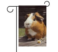 Bandiera da giardino di benvenuto con sorriso bandiere animali cortile portico casa bandiera stagionale doppia bandiera per casa all'aperto cortile patio prato decorazioni da giardino 30,5 x 45,7 cm