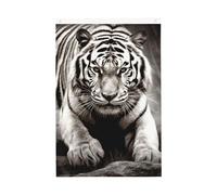 Bandiera da giardino di benvenuto con tigre bianca e nera, 0,6 x 0,9 m, non sbiadisce, doppia faccia, per casa, cortile, cortile, portico, prato