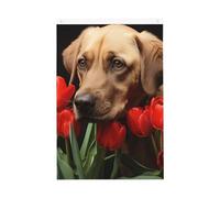 Bandiera da giardino di benvenuto con tulipani rossi per cani, 0,6 x 0,9 m, double face, non sbiadisce, per casa, cortile, cortile, cortile, prato, decorazione esterna