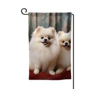 Bandiera da giardino di benvenuto per esterni di piccole dimensioni 12,5 x 18 pollici doppia faccia resistente alle intemperie bandiera per casa a pelo corto cane pomerania bandiere verticali per