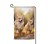 Bandiera da giardino di benvenuto per esterni di piccole dimensioni 12,5 x 18 pollici doppia faccia resistente alle intemperie bandiera della casa carino cane Corgi bandiere verticali per fattoria