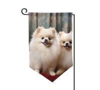 Bandiera da giardino di benvenuto per esterni di piccole dimensioni 12,5 x 18 pollici doppia faccia resistente alle intemperie bandiera per casa a pelo corto cane pomerania bandiere verticali per