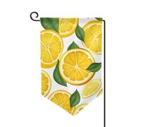 Bandiera da giardino di benvenuto per esterni di piccole dimensioni 31,5 x 45,7 cm doppia faccia resistente alle intemperie bandiera per casa con limoni motivo frutta bandiere verticali per fattoria