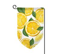 Bandiera da giardino di benvenuto per esterni di piccole dimensioni 31,5 x 45,7 cm doppia faccia resistente alle intemperie bandiera per casa con limoni motivo frutta bandiere verticali per fattoria