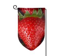 Bandiera da giardino di benvenuto per esterni di piccole dimensioni 31,5 x 45,7 cm doppia faccia resistente alle intemperie bandiera per casa bandiera verticale fragola rossa per fattoria all'aperto