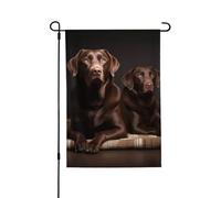 Bandiera da giardino di benvenuto per esterni, piccola bandiera, 71 x 101 cm, doppia faccia, resistente alle intemperie, bandiera per casa, labrador retriever, bandiere verticali per fattoria