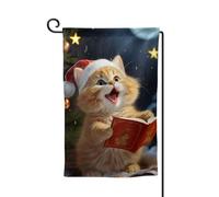 Bandiera da giardino di benvenuto per esterni piccoli bandiere da cortile 31,5 x 45,7 cm doppia faccia resistente alle intemperie bandiera per casa carino gatto canta canti natalizi bandiere verticali