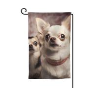 Bandiera da giardino di benvenuto per esterni piccoli bandiere da cortile 31 x 45 cm doppia faccia resistente alle intemperie bandiera per casa carino chihuahua bandiere verticali per fattoria