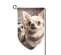 Bandiera da giardino di benvenuto per esterni piccoli bandiere da cortile 31 x 45 cm doppia faccia resistente alle intemperie bandiera per casa carino chihuahua bandiere verticali per fattoria