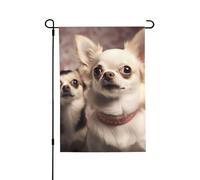Bandiera da giardino di benvenuto per esterni piccoli bandiere da cortile 71 x 101 cm doppia faccia resistente alle intemperie bandiera per casa carino chihuahua bandiere verticali per fattoria