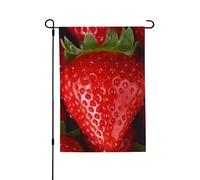 Bandiera da giardino di benvenuto per esterni piccoli cortili, 71 x 101 cm, doppia faccia resistente alle intemperie, bandiera per casa con fragole rosse bandiere verticali per fattoria all'aperto