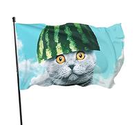 Bandiera da Giardino Divertente Anguria Gatto Cielo Bandiera Poliestere con 2 Occhielli in Ottone Striscione Colore Vivido e Resistente allo sbiadimento Bandiera da Giardino per Interni Decorazioni pe