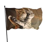 Bandiera da Giardino Divertente Simpatico Gatto Titanic Azione Mare Cielo Bandiera Poliestere con 2 Occhielli in Ottone Striscione Colore Vivido e Resistente allo sbiadimento Bandiera da Giardino per