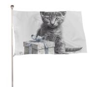 Bandiera da giardino estiva, 119,4 x 177,8 cm, con occhielli in ottone, per tutte le stagioni, gatto accanto alla confezione regalo, bandiera per vacanze, grande striscione per la decorazione esterna