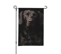 Bandiera da giardino estiva bifacciale da esterno, Labrador nero adottato curioso, 12x18 pollici
