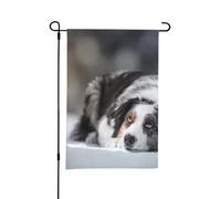 Bandiera da giardino estiva bifacciale da esterno, motivo: Pastore australiano, inverno, neve, bianco e grigio, 12x18 pollici