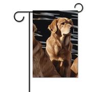 Bandiera da giardino estiva piccola bandiera da cortile per esterni 30,5 x 45,7 cm bandiera a doppia faccia per casa Golden Retriever bandiera di benvenuto stagionale bandiera per casa vacanza