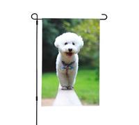 Bandiera da giardino estivo a doppia faccia, motivo: Bichon Frise Bokeh, per animali domestici, cani, parco, cani bianchi, 12x18 pollici