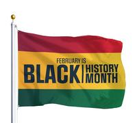 Bandiera Da Giardino February Is Black History Month Bandiere Decorative Antivento Bandiera Da Cortile Lavabile Garden Flag Per Feste Celebrazioni Festival 90X152CM