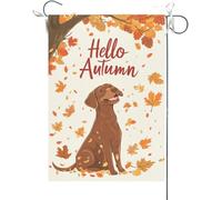 Bandiera Da Giardino Hello Autumn Funny Chocolate Labrador Dog Dog Theme Maple Leaves Fall Thanksgiving Garden Flag Premium Bandiera Da Cortile Durevole Bandiere Decorative Per Feste 30X45CM