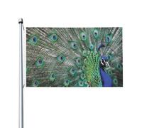 Bandiera da giardino in poliestere con ali spiegate e pavone che mostra le piume, 152 x 91 cm, con occhielli, stampa fronte-retro.