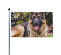 Bandiera da giardino in poliestere con occhielli su entrambi i lati, raffigurante un cane marrone seduto, dimensioni 152 x 91 cm (5 piedi x 3 piedi).