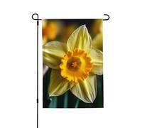 Bandiera da giardino per esterni bandiere di benvenuto 71 x 101 cm bandiera da cortile a doppia faccia narciso fiore bandiere da giardino stagionali bandiere per esterni bandiera di San Valentino per