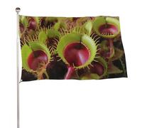Bandiera da giardino per esterni con piante carnivore e vacanze, con occhielli in ottone, resistente allo sbiadimento, per tutte le stagioni, 152,4 x 243,8 cm