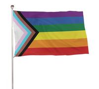 Bandiera da giardino per il Ride Day LGBT Rainbow 2 Theme, grande bandiera da esterno per decorazioni e feste, 4x6 piedi