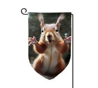 Bandiera da giardino primaverile 30,5 x 45,7 cm bandiera da giardino di benvenuto all'aperto scoiattolo su entrambi i lati divertente stampa animale bandiera cortile vacanza fattoria decorazione