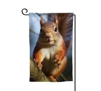Bandiera da giardino primaverile 30,5 x 45,7 cm, bandiera da giardino di benvenuto all'aperto, scoiattolo, divertente, stampa animale, bandiera per cortile, vacanze, fattoria, decorazione stagionale