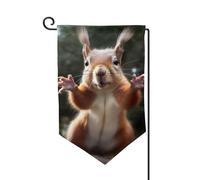 Bandiera da giardino primaverile 30,5 x 45,7 cm bandiera da giardino di benvenuto all'aperto scoiattolo su entrambi i lati divertente stampa animale bandiera cortile vacanza fattoria decorazione