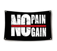 Bandiera da palestra con scritta "No Pain No Gain", 9 x 152 cm, motivazionale, decorazione da parete, bandiere divertenti per la stanza con occhielli per bassi