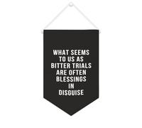 Bandiera da parete in tela con citazione ispiratrice What Seems to Us As Bitter Trials Are Often Blessings in Disguise Wall Art Hanging Banner Home Office Decor 25 x 38 cm Tela Banner Regali di