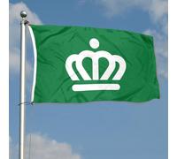 Bandiera Decorativa Charlotte City North Carolina Robuste Bandiera Pace Resistente Alle Intemperie Decorazioni Da Giardino Per Parete Celebrazioni Cortile 3X5 Ft