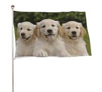 Bandiera decorativa con cuccioli di Golden Retriever, 61 x 88,9 cm, stampa su entrambi i lati, bandiera decorativa da giardino, non sbiadisce, con occhielli in ottone, sfondo fotografico da appendere