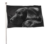 Bandiera decorativa con cucciolo di labrador nero, 119,4 x 177,8 cm, stampa su entrambi i lati, bandiera decorativa da giardino, non sbiadisce, con occhielli in ottone, sfondo fotografico da appendere