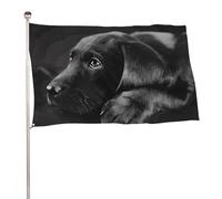 Bandiera decorativa con cucciolo di labrador nero, 152,4 x 243,8 cm, stampa su entrambi i lati, bandiera decorativa da giardino, non sbiadisce, con occhielli in ottone da appendere, sfondo fotografico