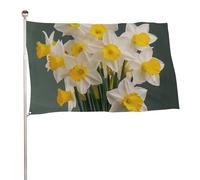 Bandiera decorativa con foto di narcisi, 119,4 x 177,8 cm, stampa su entrambi i lati, bandiera decorativa da giardino, non sbiadisce, con occhielli in ottone, sfondo fotografico da appendere per