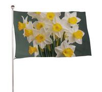 Bandiera decorativa con foto di narcisi, 61 x 88,9 cm, stampa su entrambi i lati, bandiera decorativa da giardino, non sbiadisce, con occhielli in ottone, sfondo fotografico da appendere, per interni