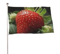 Bandiera decorativa con fragole e frutta, 61 x 88,9 cm, stampa su entrambi i lati, bandiera decorativa da giardino, non sbiadisce, con occhielli in ottone da appendere, sfondo fotografico per interni