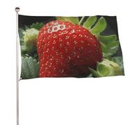 Bandiera decorativa con fragole e frutta, 89 x 150 cm, stampa su entrambi i lati, bandiera decorativa da giardino, non sbiadisce, con occhielli in ottone, sfondo fotografico da appendere, per interni